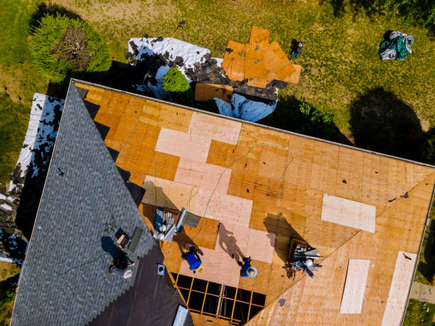 Professional Roofing Contractor in Houston, MS