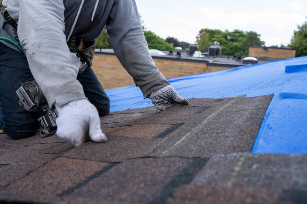 Best Storm Damage Roof Repair  in Houston, MS