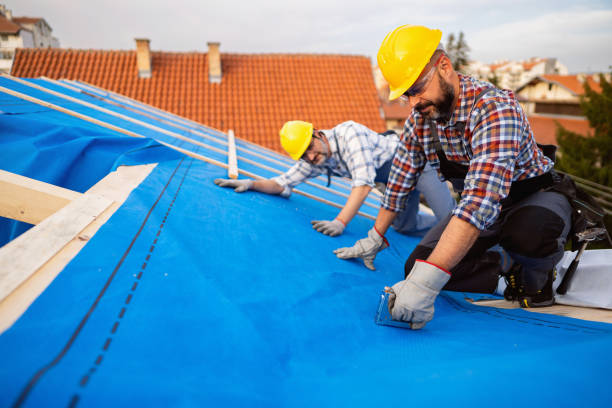 Best Roof Gutter Cleaning  in Houston, MS